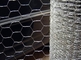 Chicken Hexagonal Wire Mesh PVC Coated Galvanized Gabion Box Iron Wire Material